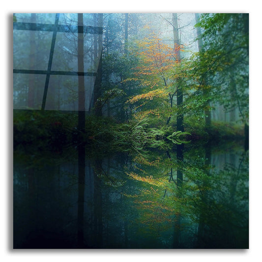 Epic Art 'The Forest' by Goncalves, Acrylic Glass Wall Art