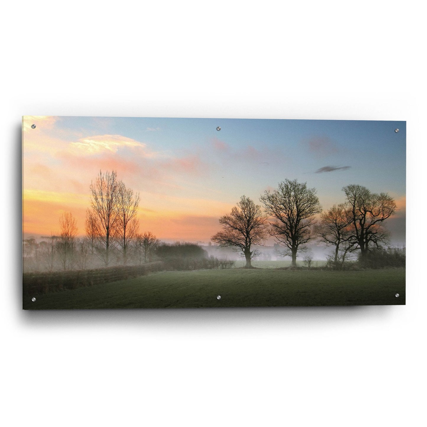 Epic Art 'The Mist' by Goncalves, Acrylic Glass Wall Art,48x24