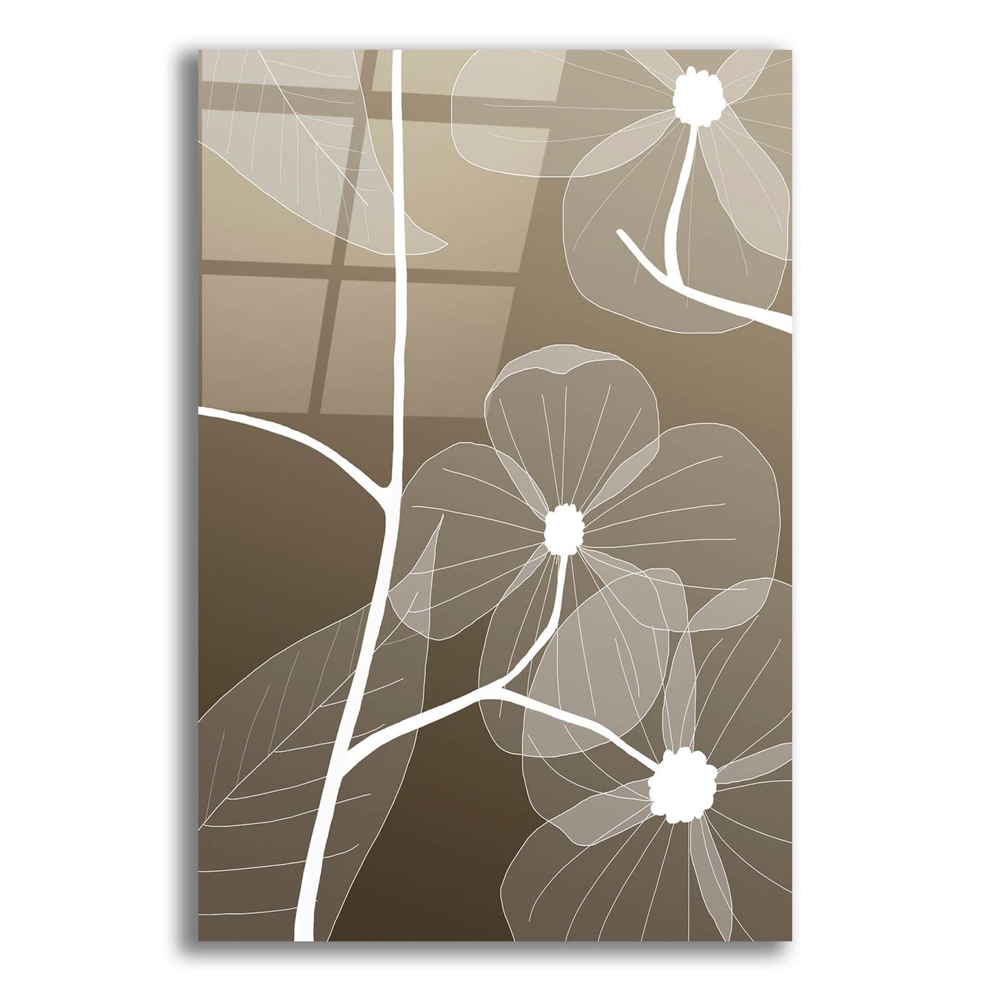 Epic Art 'Floral 1' by Graphinc, Acrylic Glass Wall Art