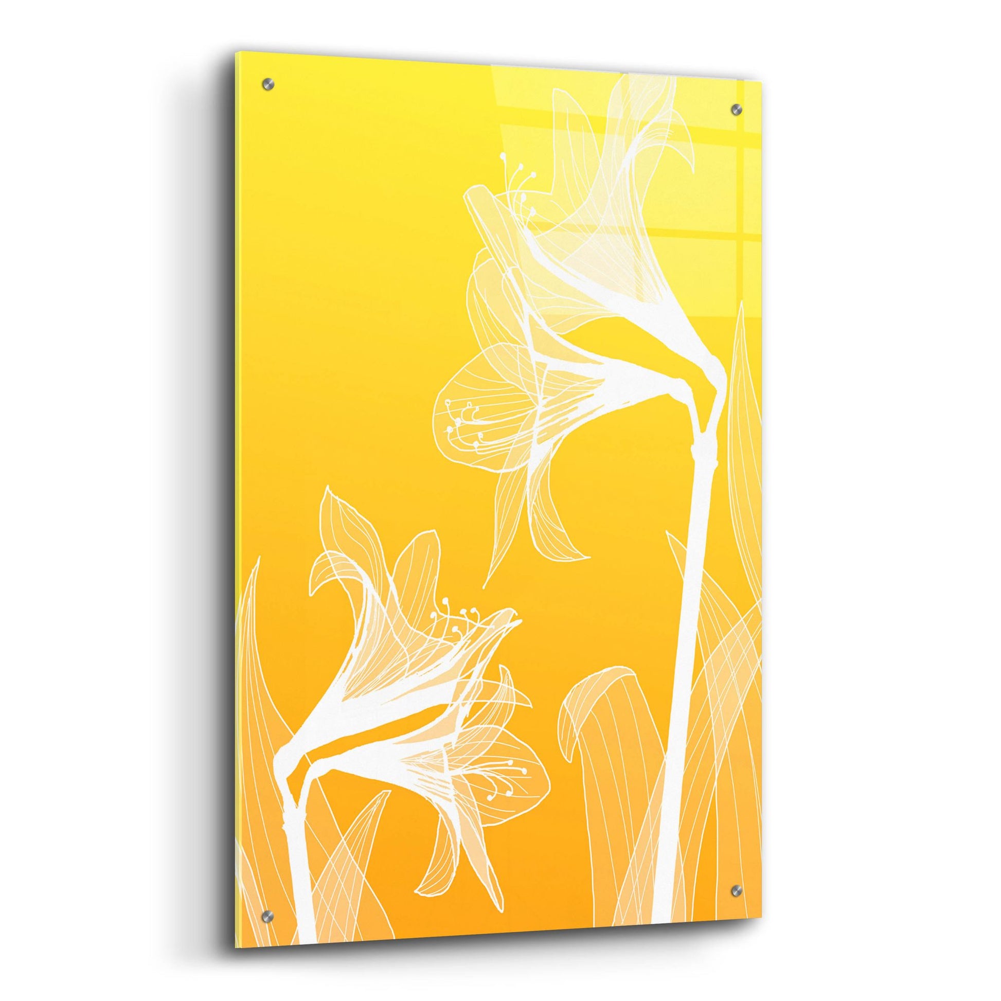 Epic Art 'Floral 3' by Graphinc, Acrylic Glass Wall Art,24x36