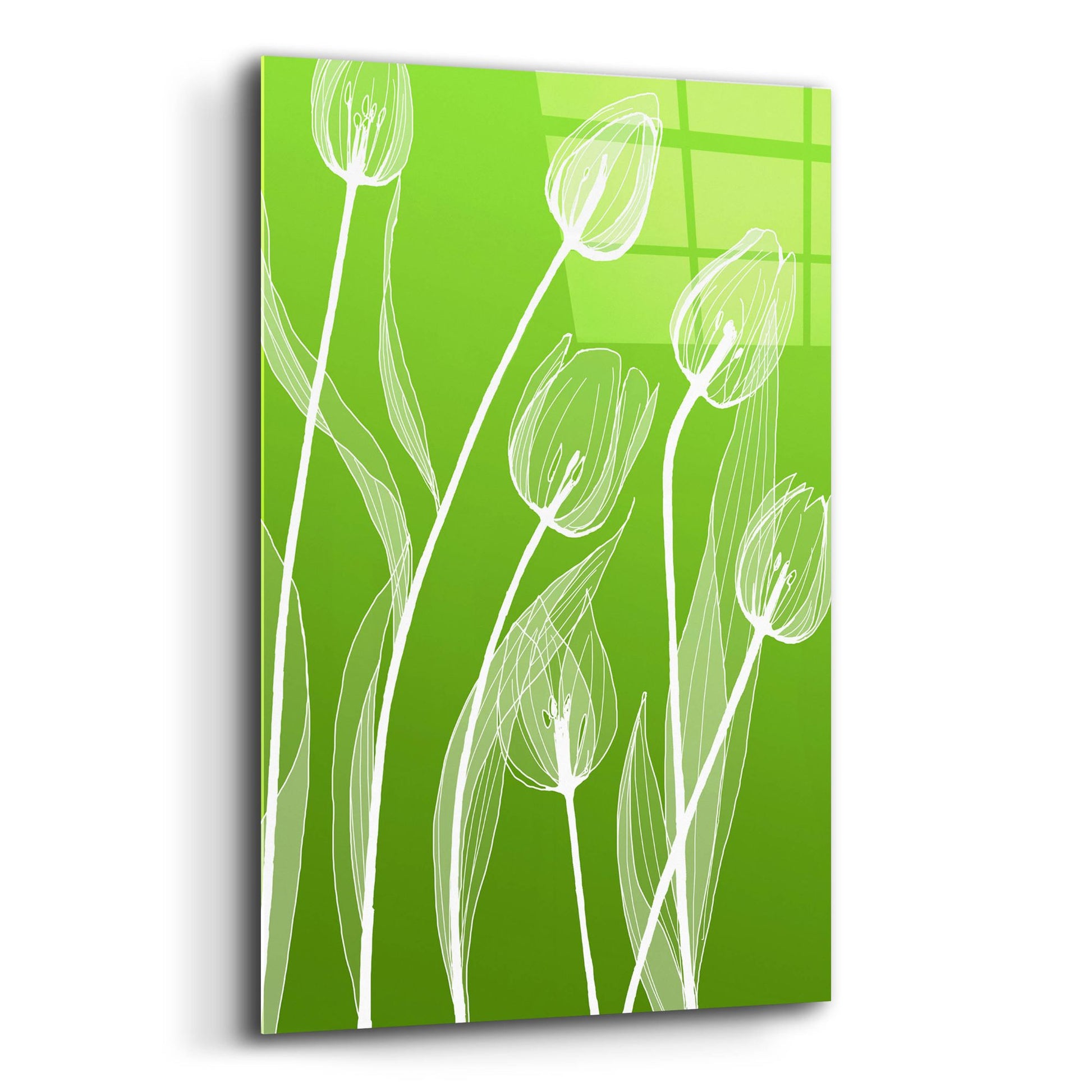 Epic Art 'Floral 4' by Graphinc, Acrylic Glass Wall Art,12x16