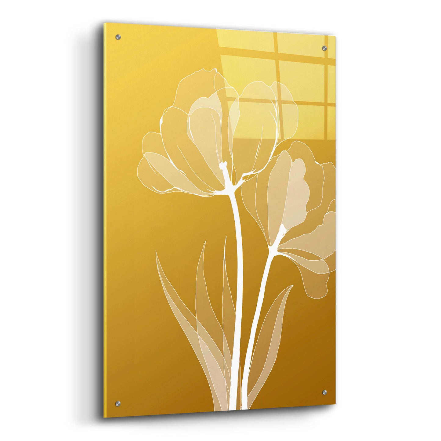 Epic Art 'Floral 6' by Graphinc, Acrylic Glass Wall Art,24x36