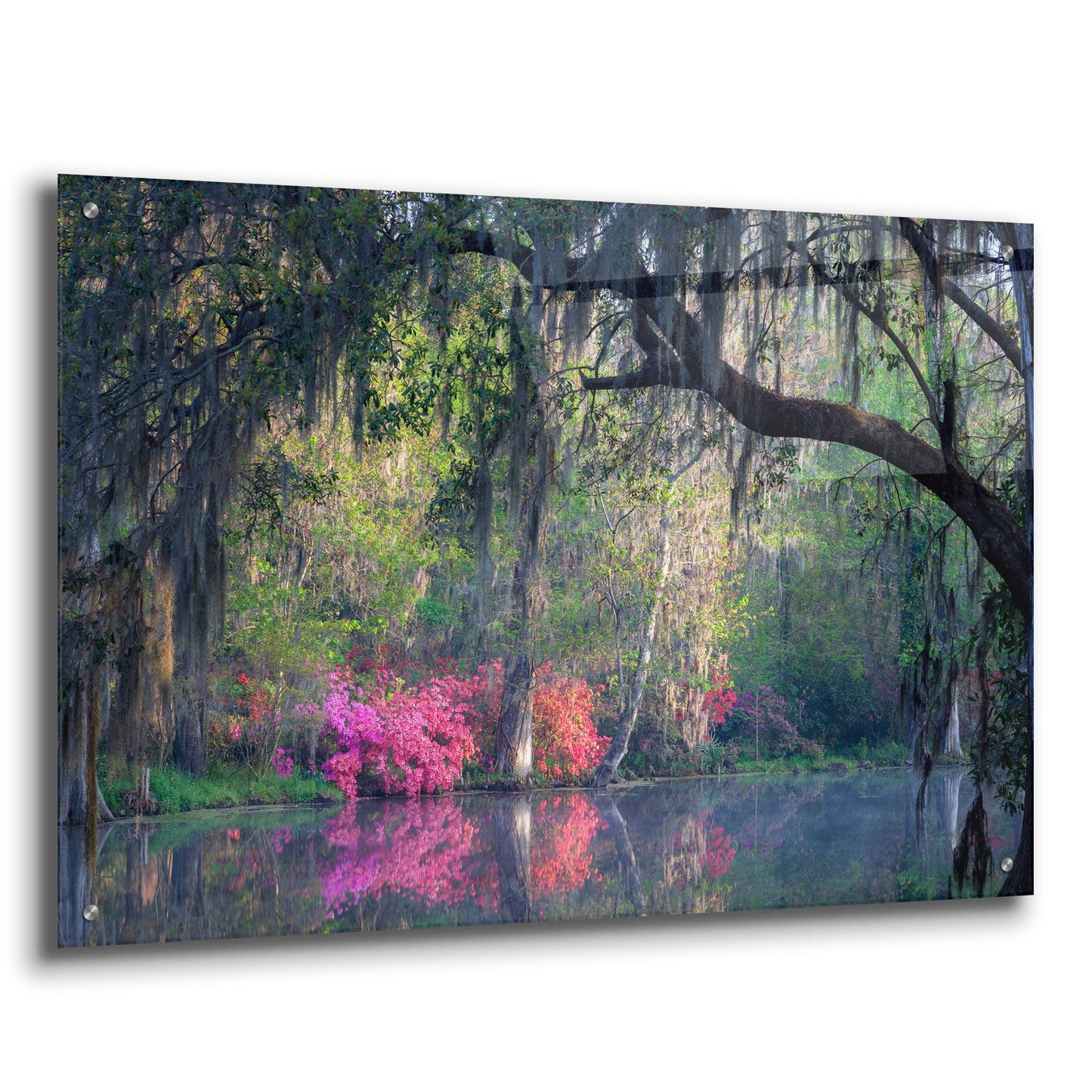 Epic Art 'Morning Serenity' by H.J. Herrera, Acrylic Glass Wall Art,36x24