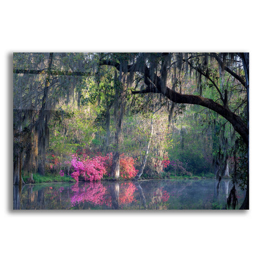 Epic Art 'Morning Serenity' by H.J. Herrera, Acrylic Glass Wall Art