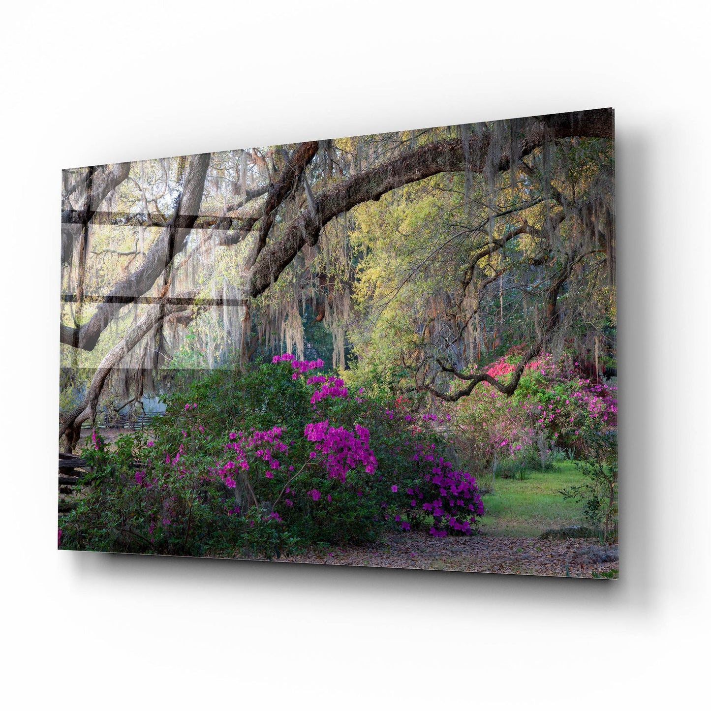 Epic Art 'Oaks And Azaleas' by H.J. Herrera, Acrylic Glass Wall Art,16x12