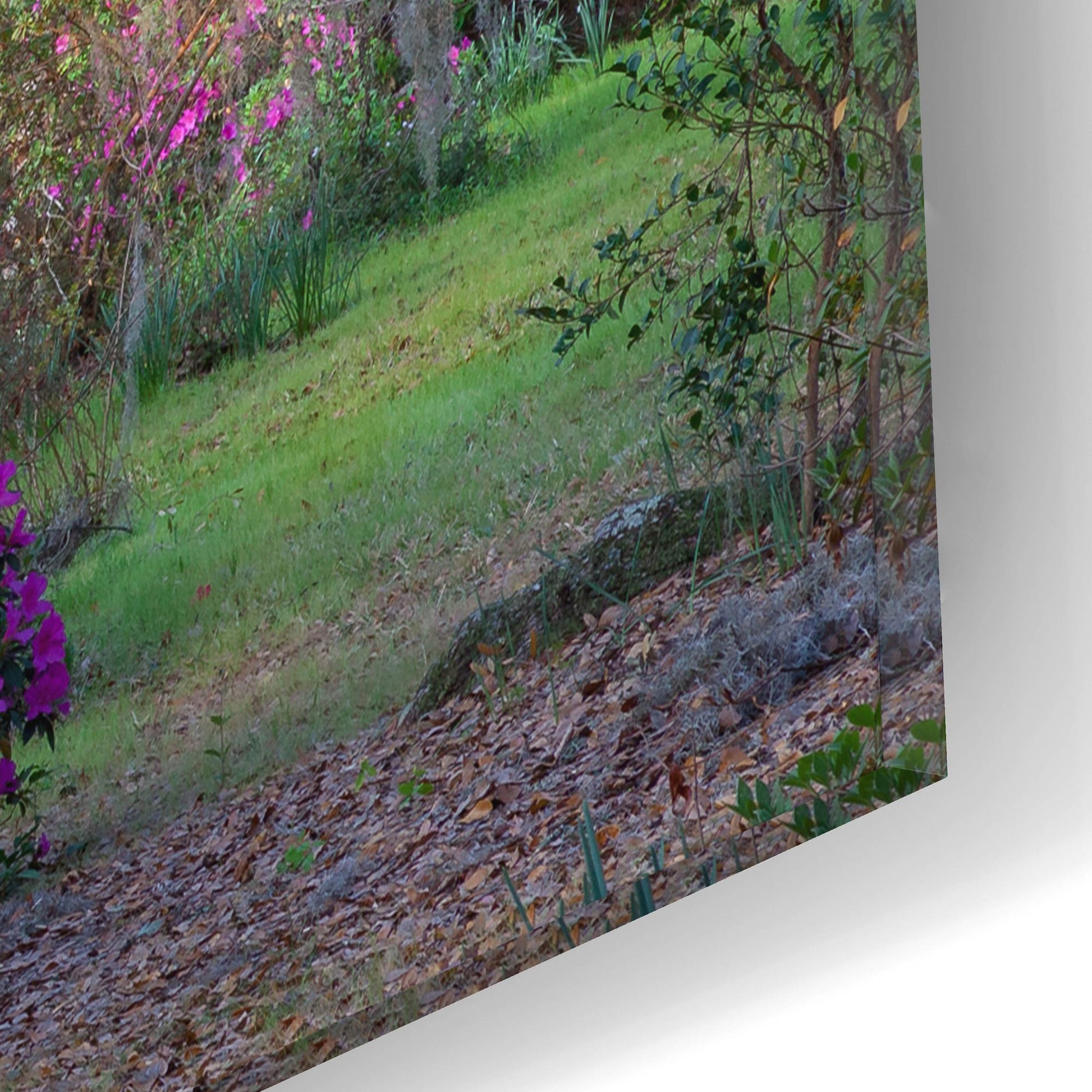 Epic Art 'Oaks And Azaleas' by H.J. Herrera, Acrylic Glass Wall Art,16x12