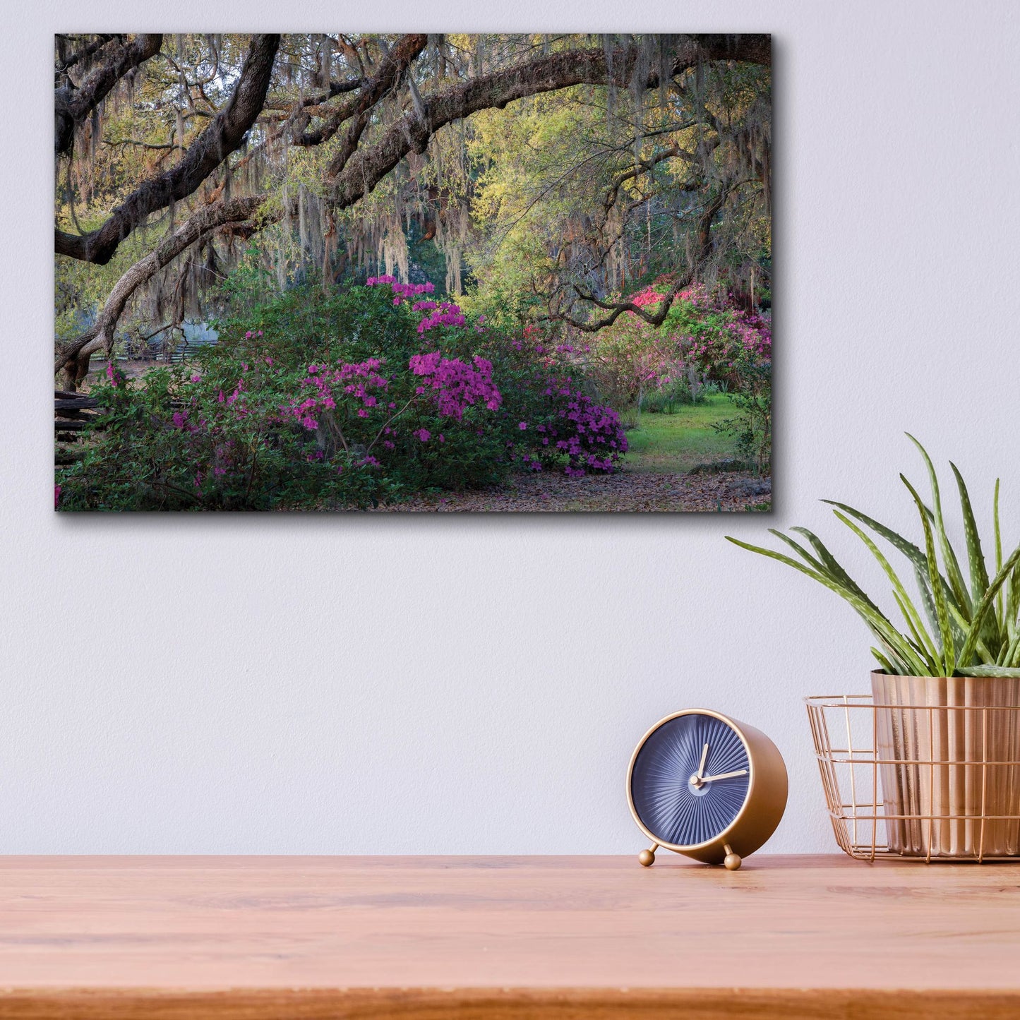 Epic Art 'Oaks And Azaleas' by H.J. Herrera, Acrylic Glass Wall Art,16x12