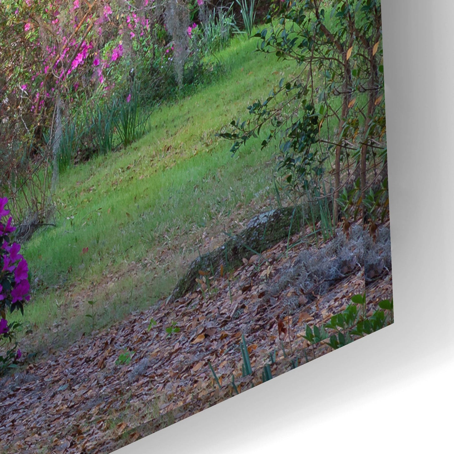 Epic Art 'Oaks And Azaleas' by H.J. Herrera, Acrylic Glass Wall Art,24x16