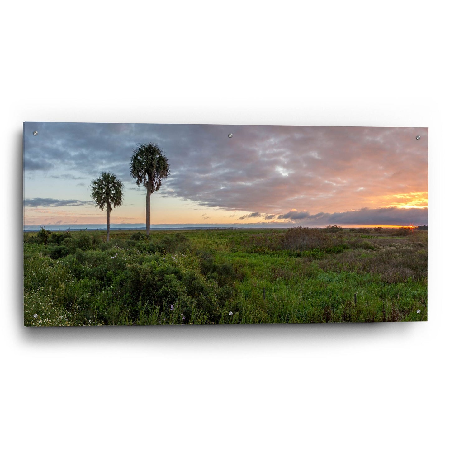 Epic Art 'Prairie Sunrise' by H.J. Herrera, Acrylic Glass Wall Art,48x24