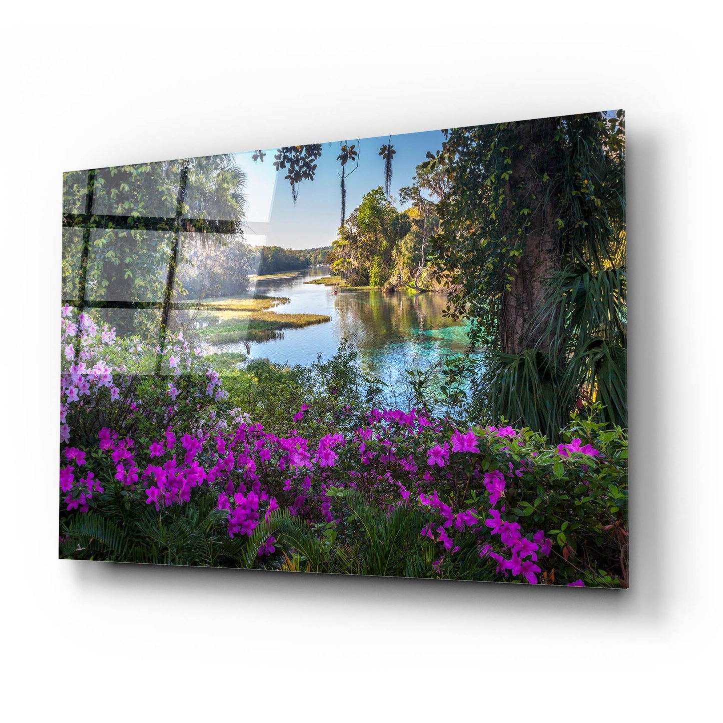 Epic Art 'Rainbow Springs' by H.J. Herrera, Acrylic Glass Wall Art,24x16