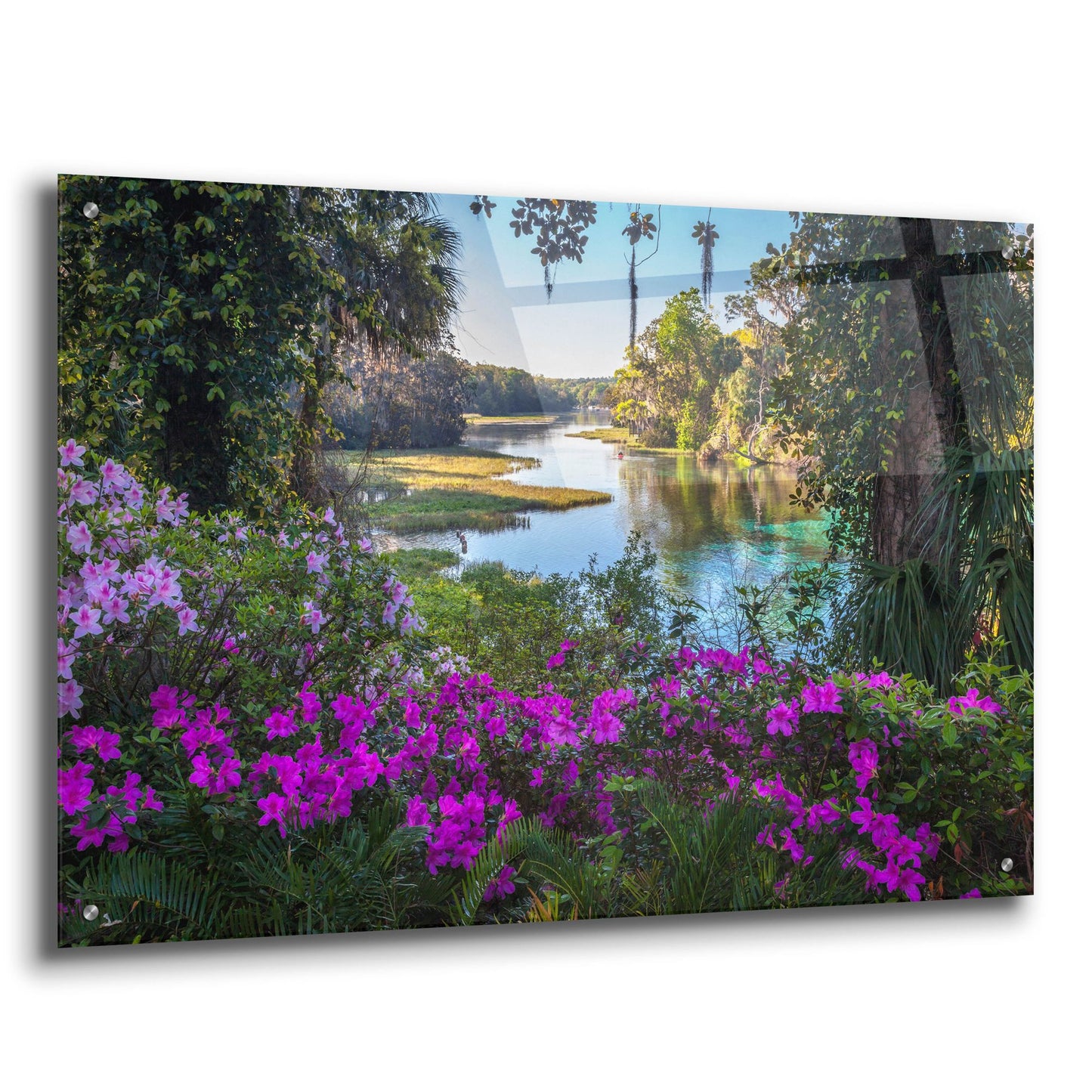 Epic Art 'Rainbow Springs' by H.J. Herrera, Acrylic Glass Wall Art,36x24