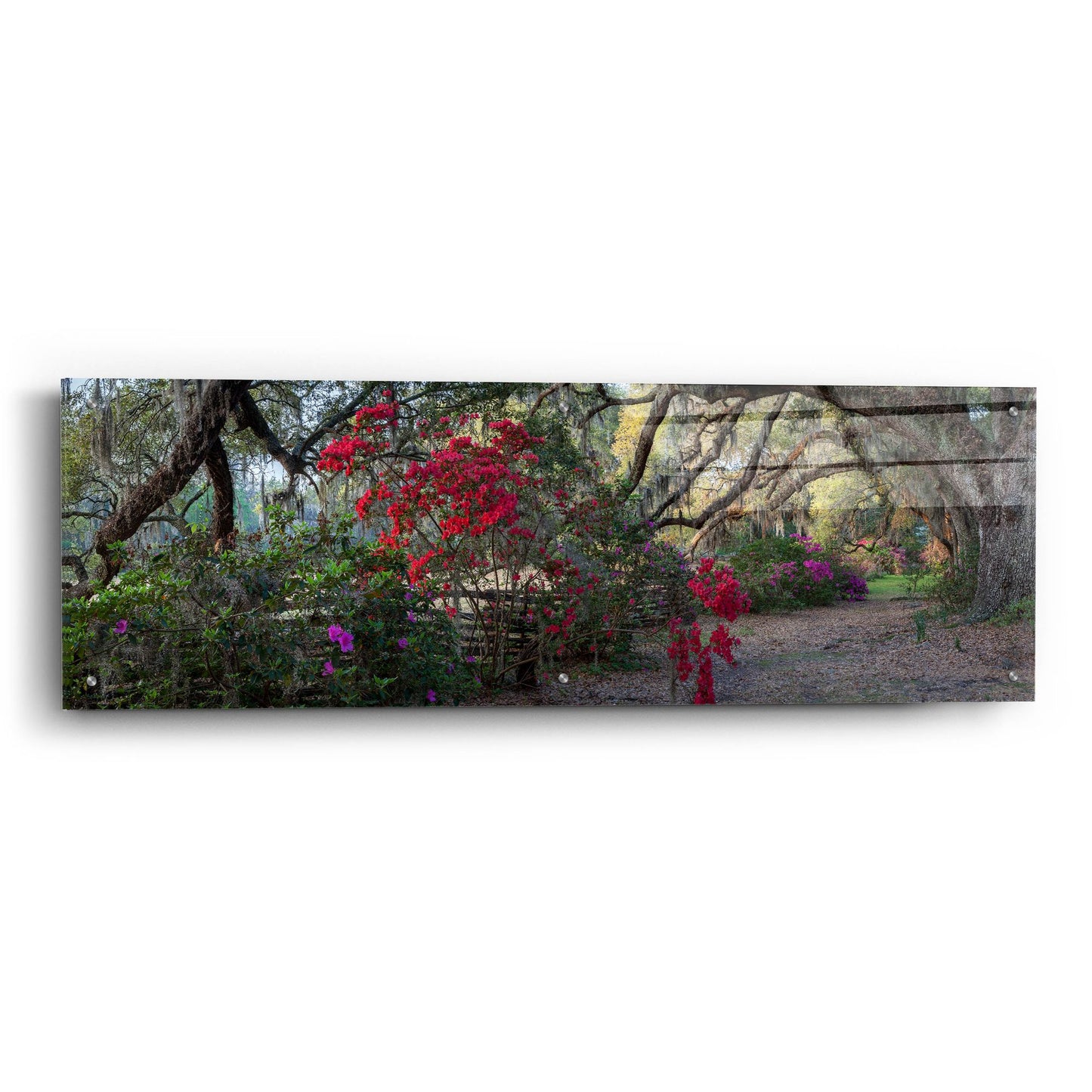 Epic Art 'Springtime Morning' by H.J. Herrera, Acrylic Glass Wall Art,48x16