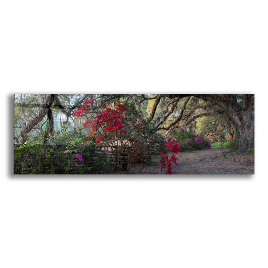 Epic Art 'Springtime Morning' by H.J. Herrera, Acrylic Glass Wall Art