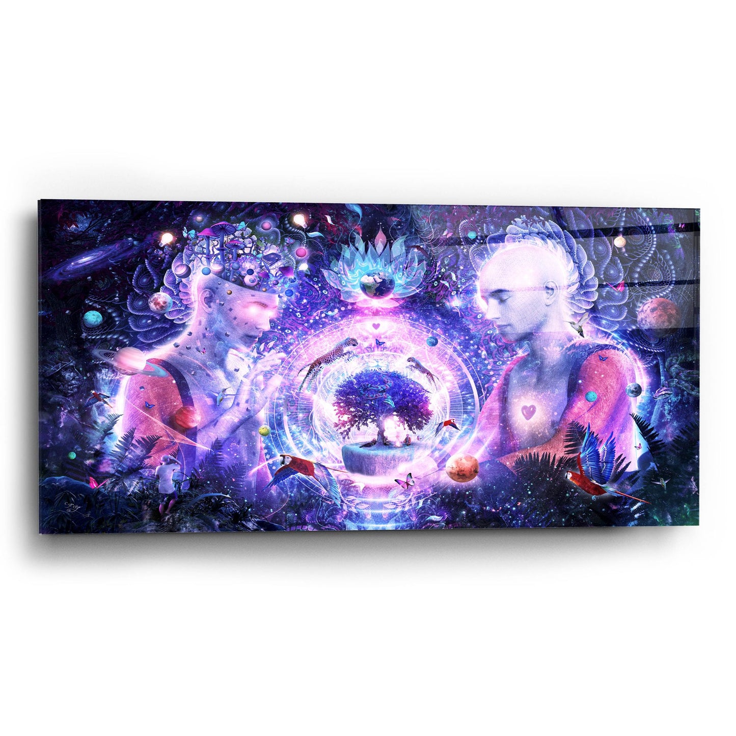 Epic Art 'A Spark In The Universe' by Cameron Gray, Acrylic Glass Wall Art,24x12