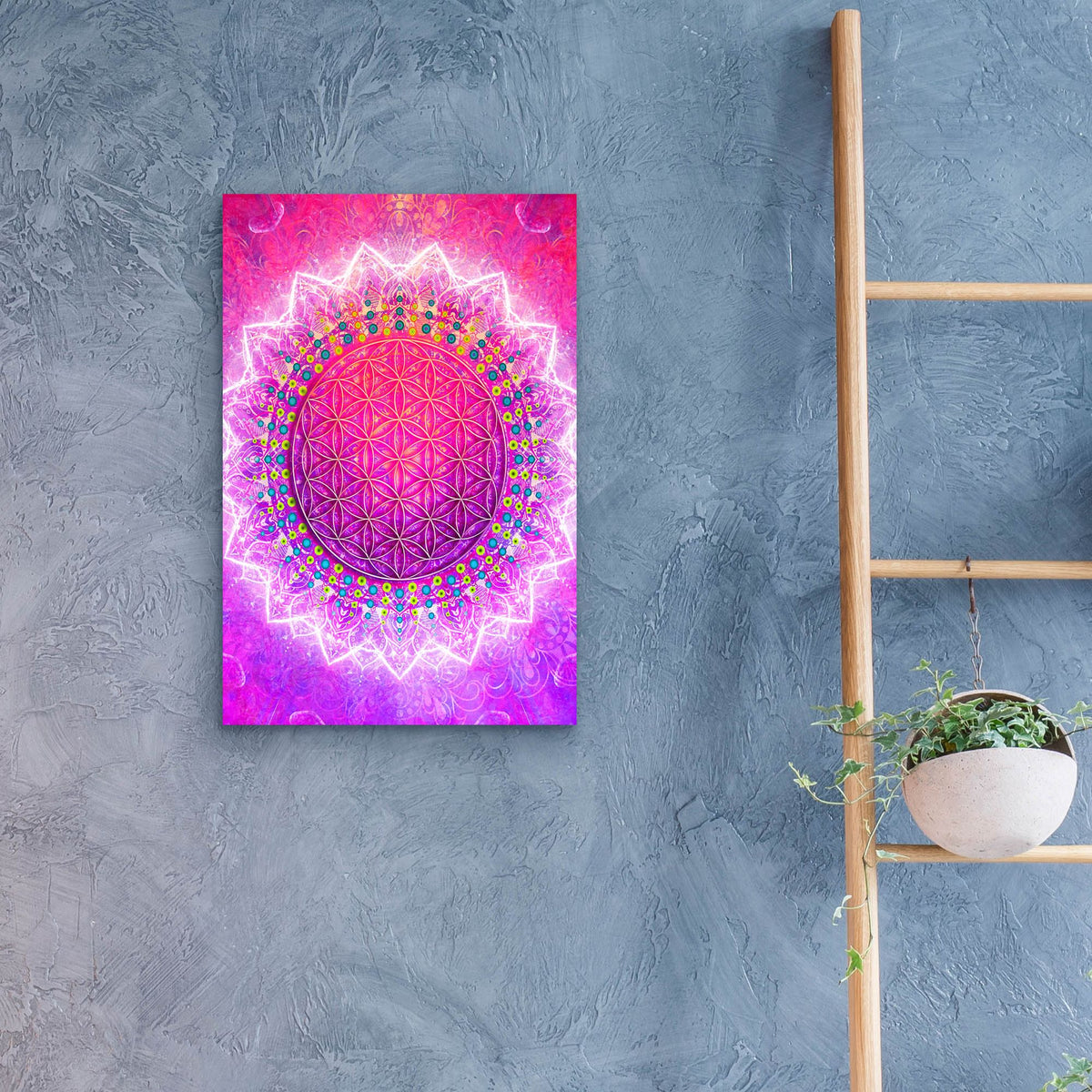 Epic Art 'Flower Of Life' by Cameron Gray, Acrylic Glass Wall Art,16x24