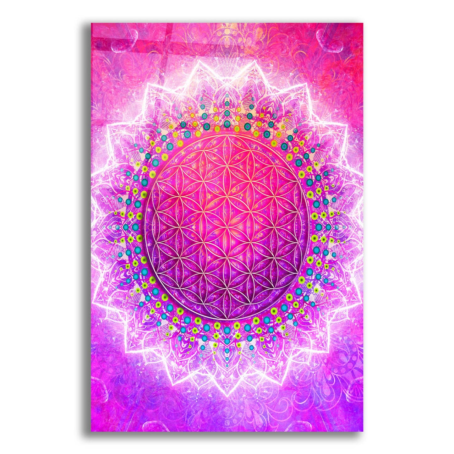 Epic Art 'Flower Of Life' by Cameron Gray, Acrylic Glass Wall Art