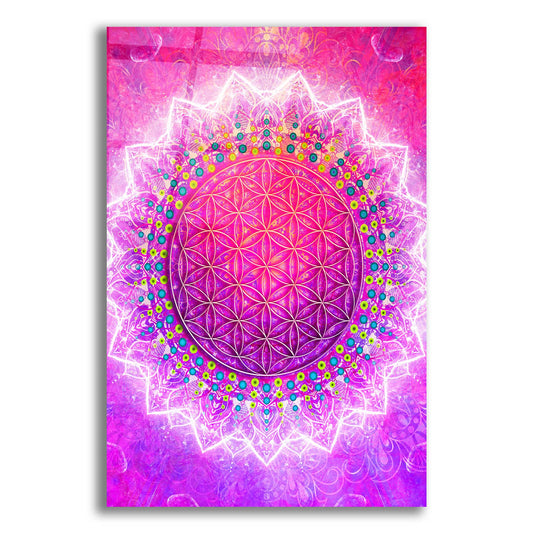 Epic Art 'Flower Of Life' by Cameron Gray, Acrylic Glass Wall Art