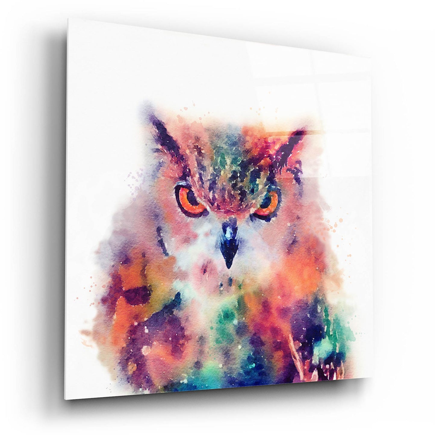 Epic Art 'The Wise Ii' by Jacqueline Maldonado, Acrylic Glass Wall Art,12x12