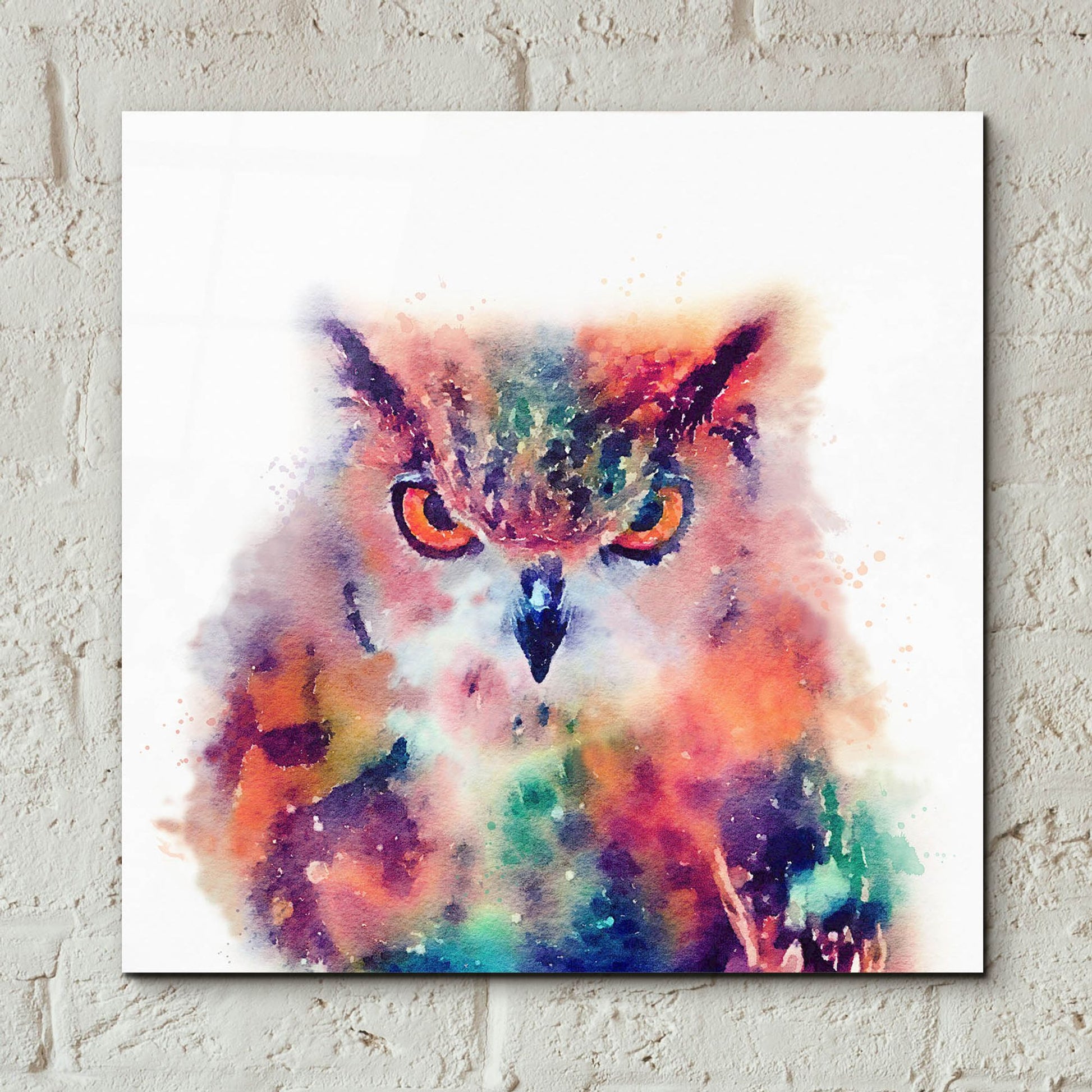 Epic Art 'The Wise Ii' by Jacqueline Maldonado, Acrylic Glass Wall Art,12x12