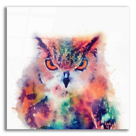 Epic Art 'The Wise Ii' by Jacqueline Maldonado, Acrylic Glass Wall Art