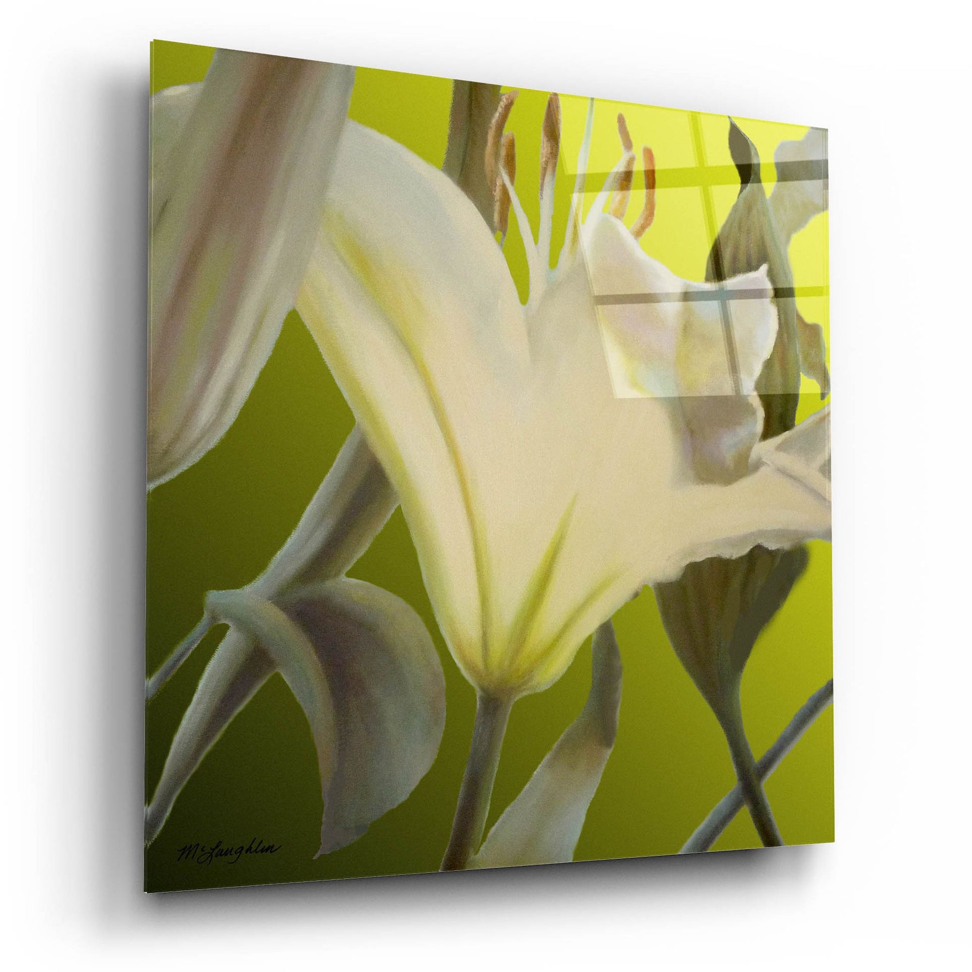 Epic Art 'Lily Green' by Jan Mclaughlin, Acrylic Glass Wall Art,12x12