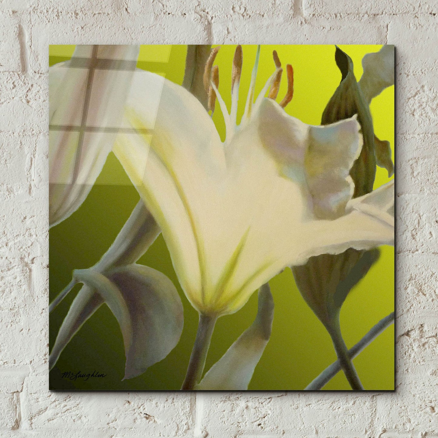 Epic Art 'Lily Green' by Jan Mclaughlin, Acrylic Glass Wall Art,12x12