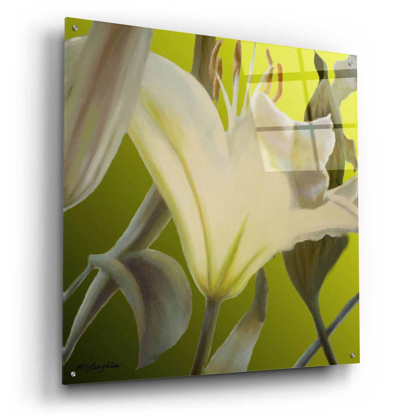 Epic Art 'Lily Green' by Jan Mclaughlin, Acrylic Glass Wall Art,36x36