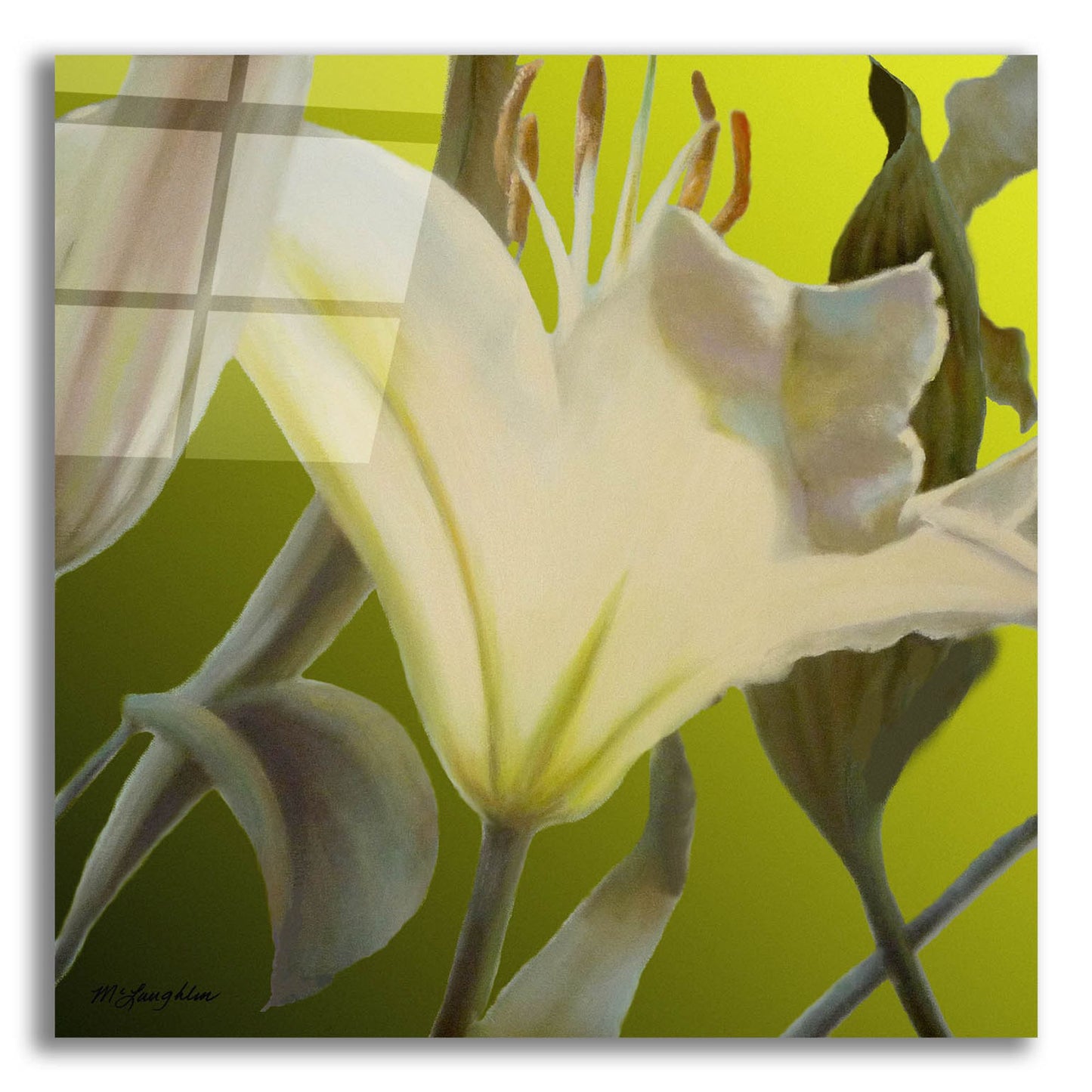 Epic Art 'Lily Green' by Jan Mclaughlin, Acrylic Glass Wall Art