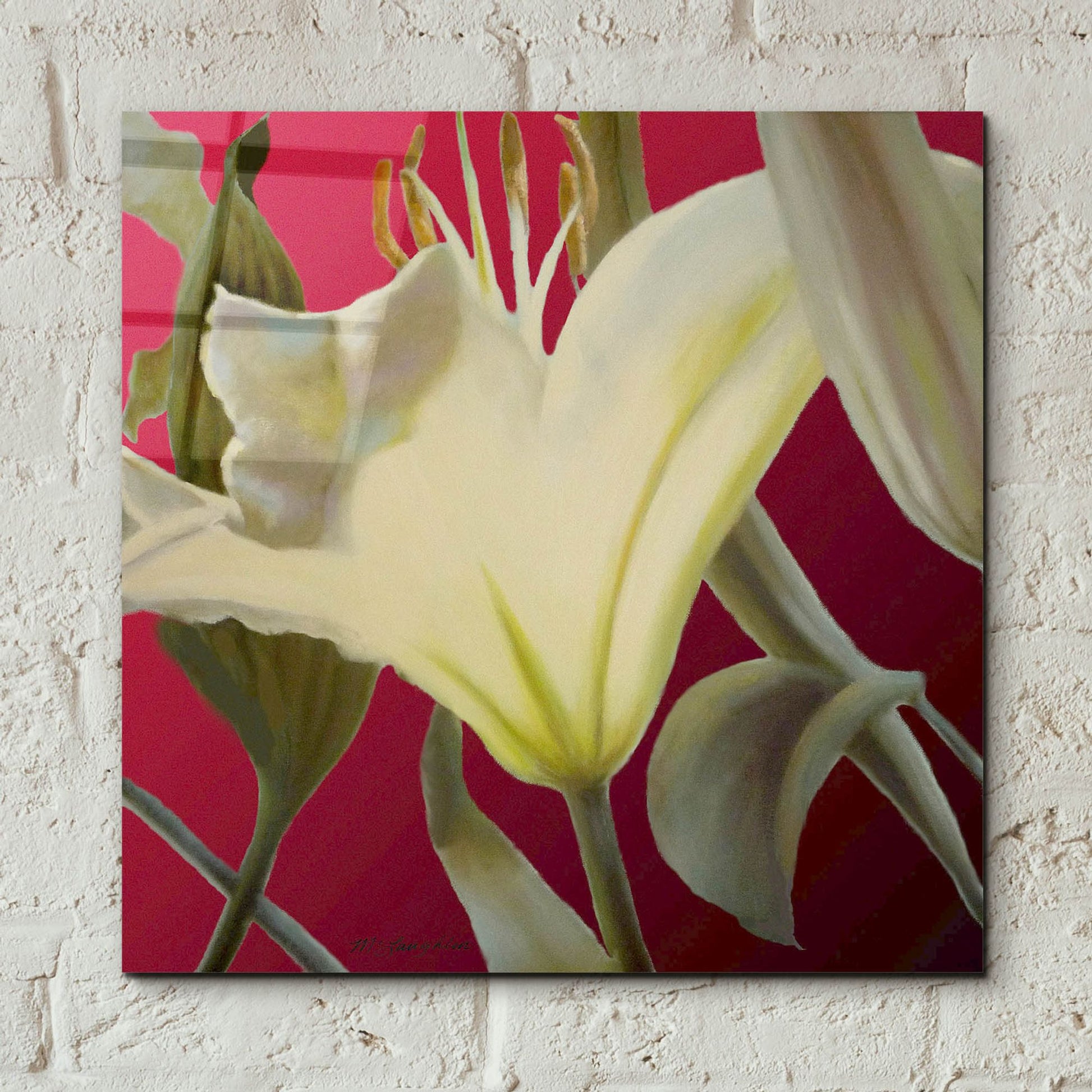 Epic Art 'Lily Red' by Jan Mclaughlin, Acrylic Glass Wall Art,12x12