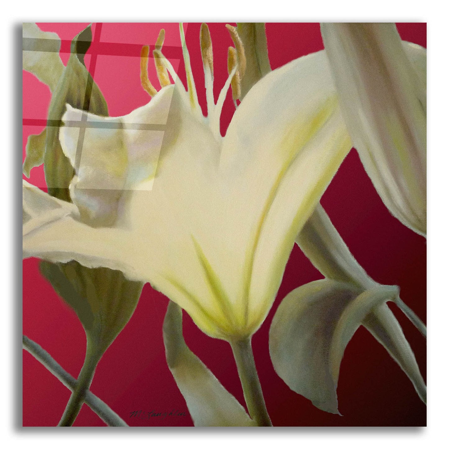 Epic Art 'Lily Red' by Jan Mclaughlin, Acrylic Glass Wall Art