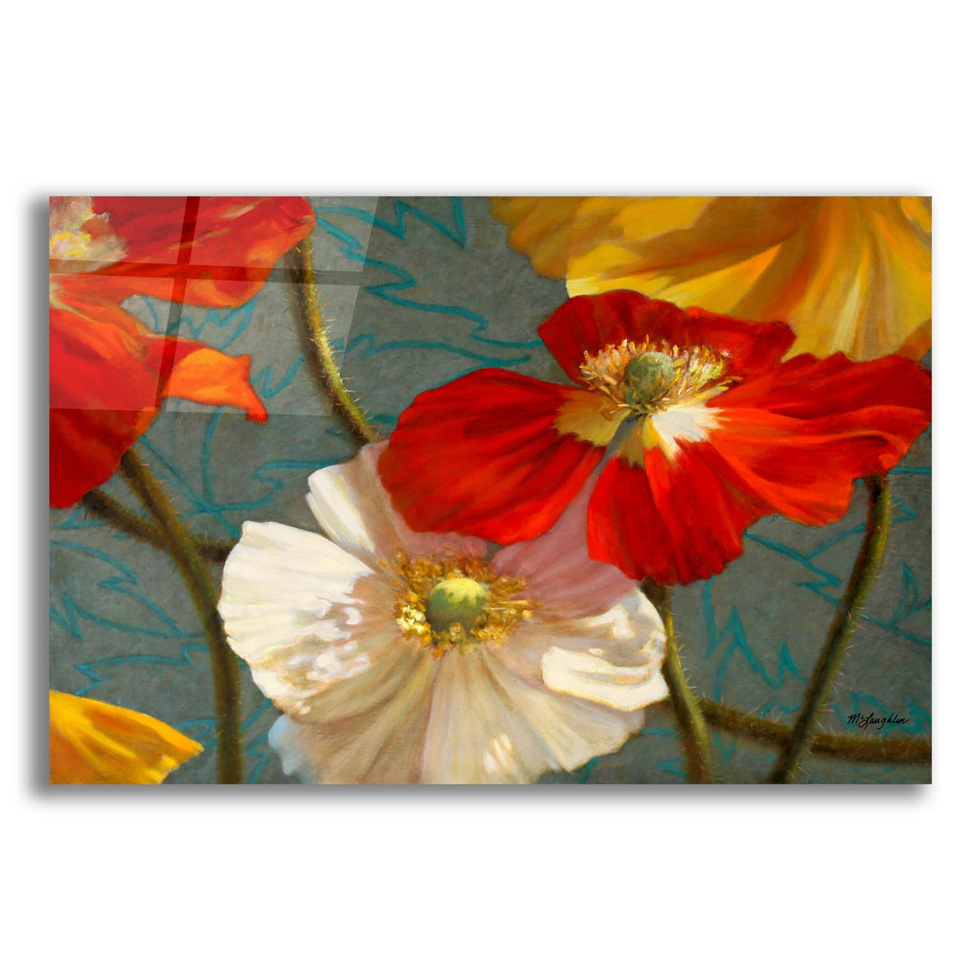 Epic Art 'Poppycock' by Jan Mclaughlin, Acrylic Glass Wall Art,24x16