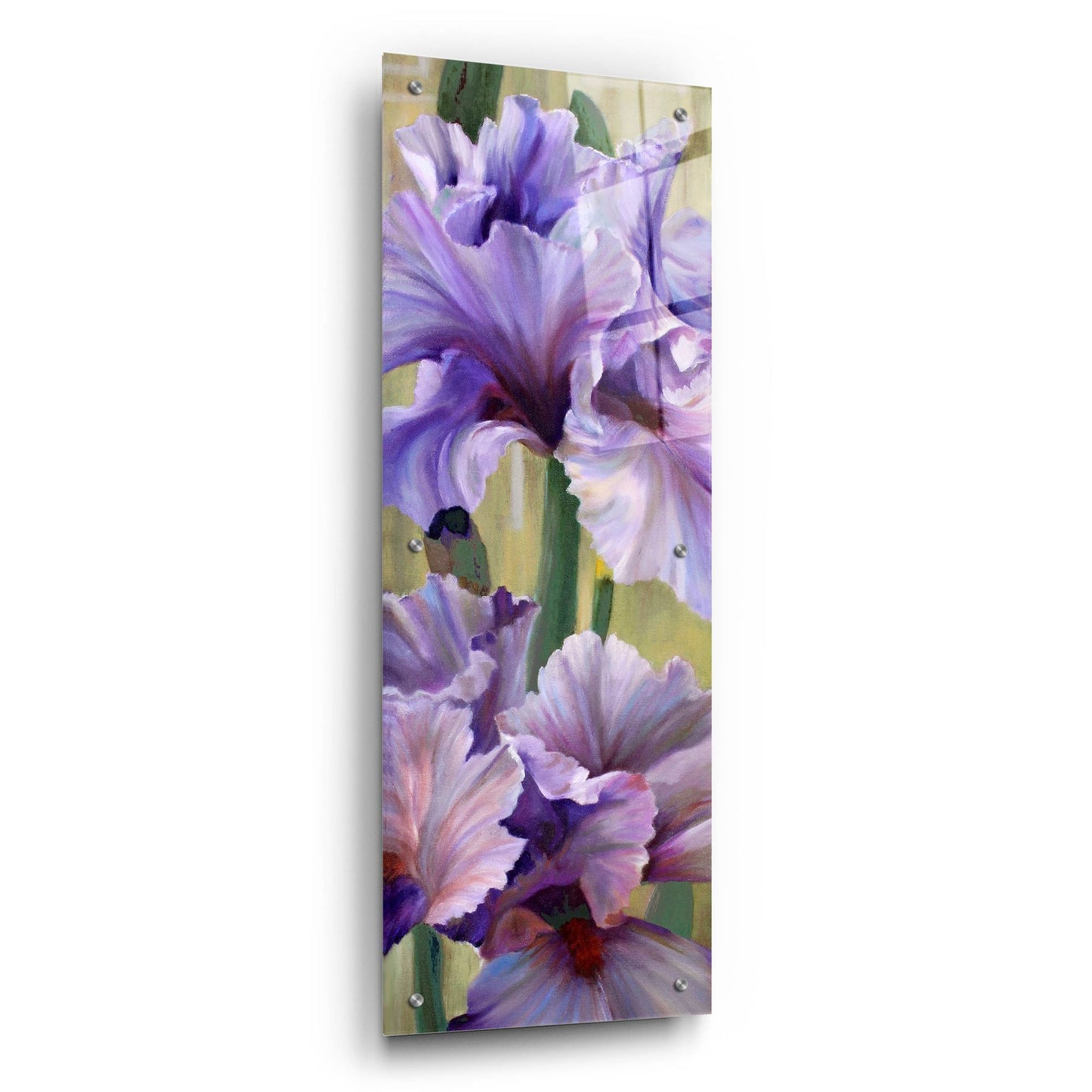 Epic Art 'Iris I' by Jan Mclaughlin, Acrylic Glass Wall Art,12x36