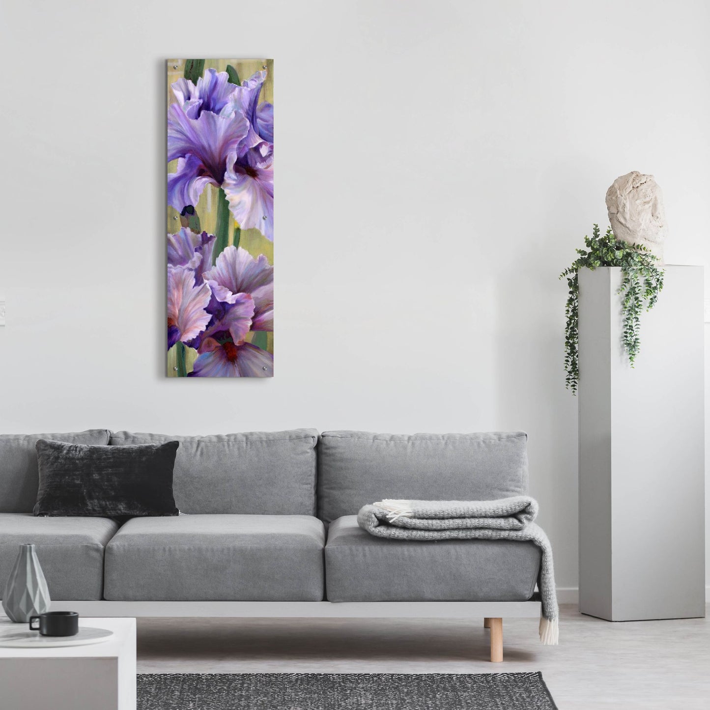 Epic Art 'Iris I' by Jan Mclaughlin, Acrylic Glass Wall Art,16x48