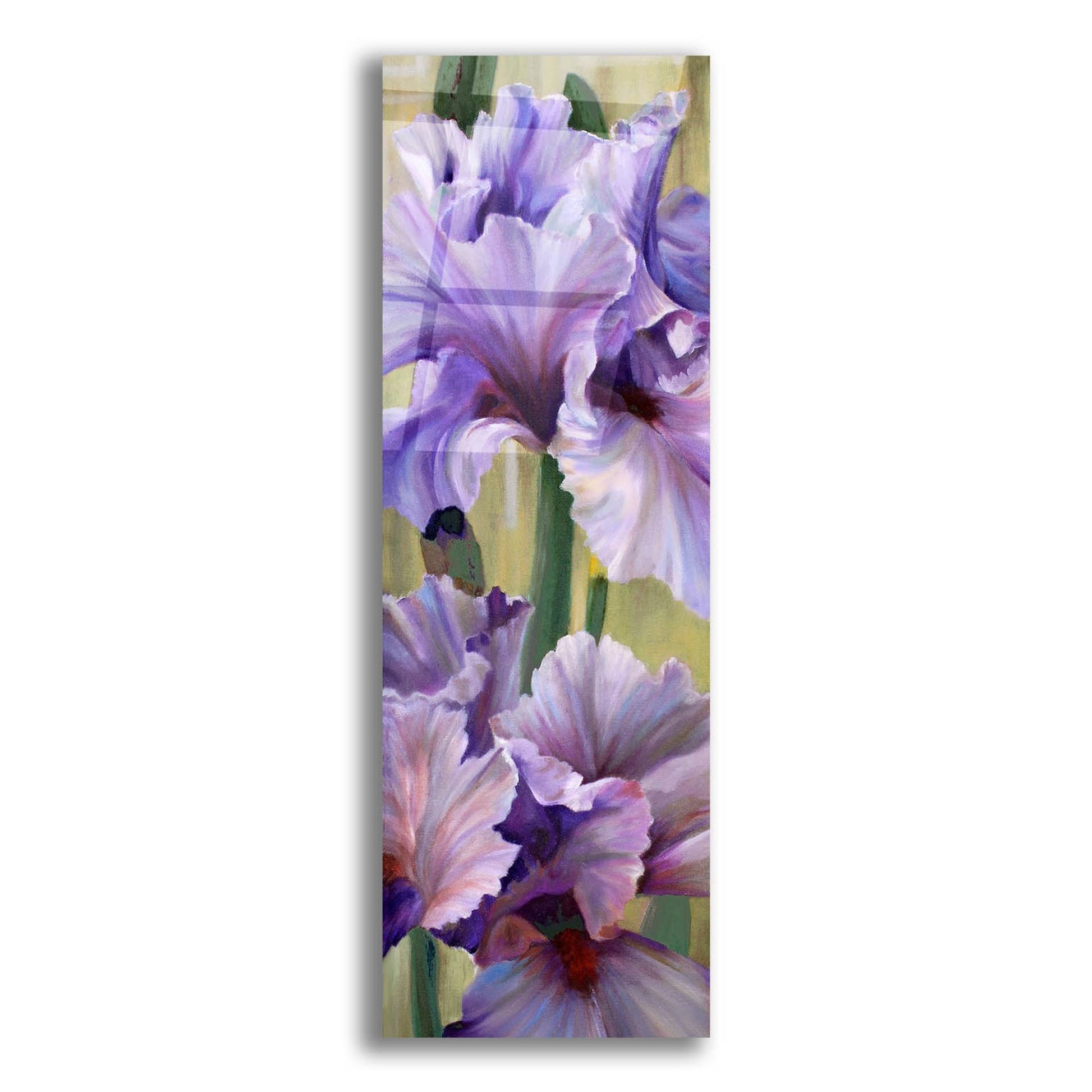 Epic Art 'Iris I' by Jan Mclaughlin, Acrylic Glass Wall Art