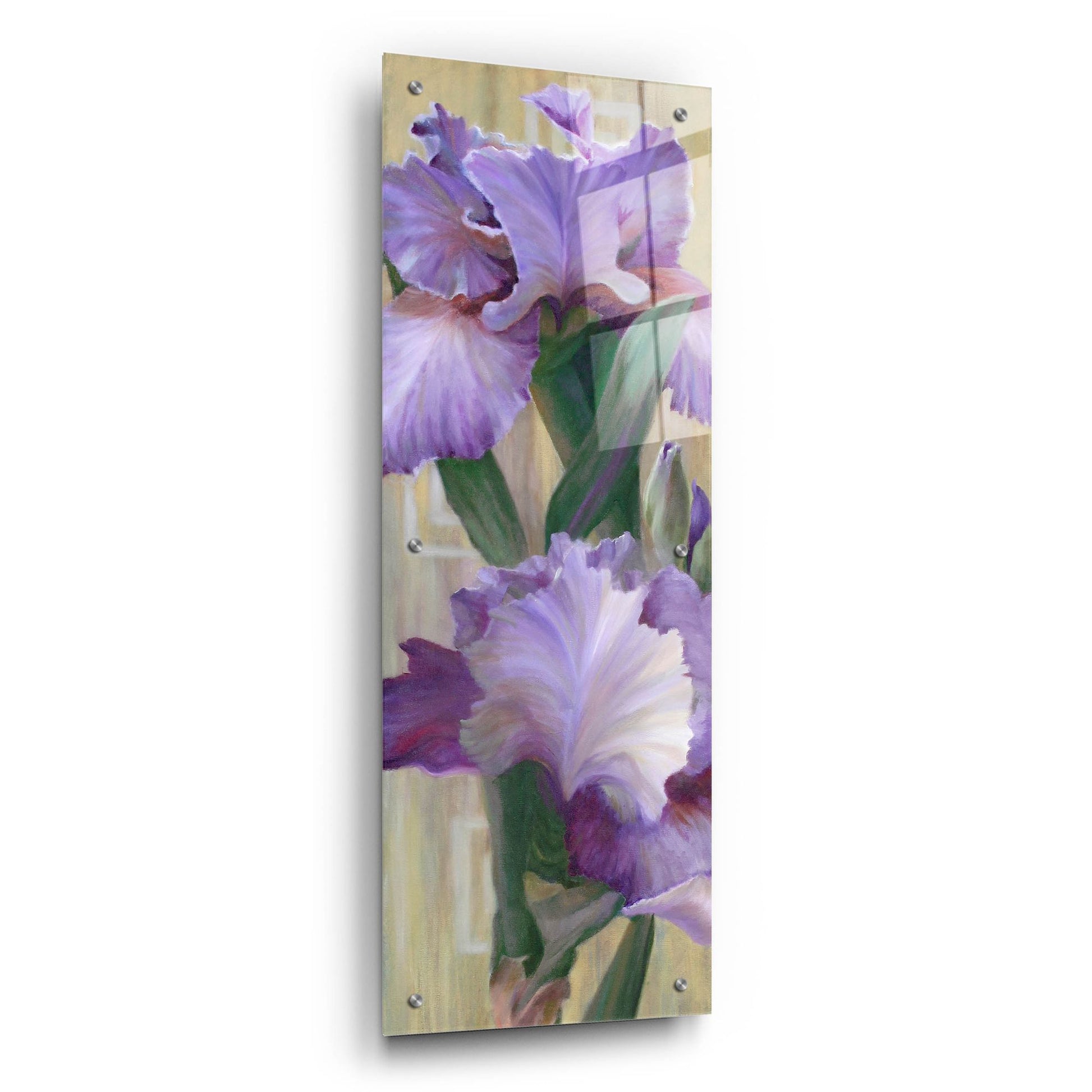 Epic Art 'Iris Ii' by Jan Mclaughlin, Acrylic Glass Wall Art,12x36