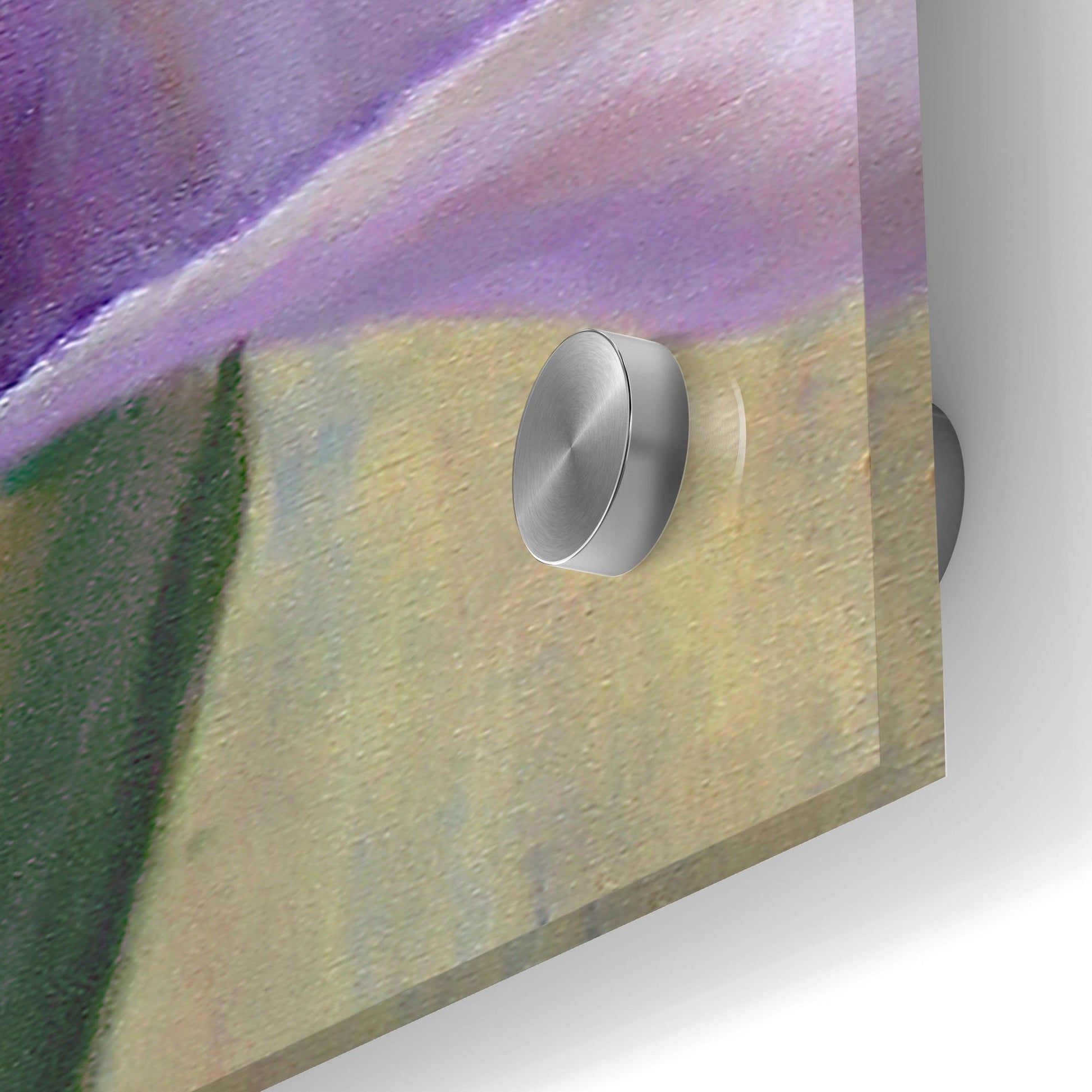 Epic Art 'Iris Ii' by Jan Mclaughlin, Acrylic Glass Wall Art,12x36