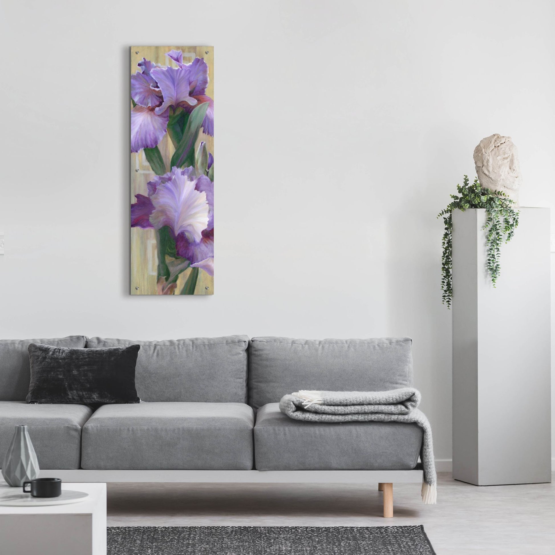 Epic Art 'Iris Ii' by Jan Mclaughlin, Acrylic Glass Wall Art,16x48