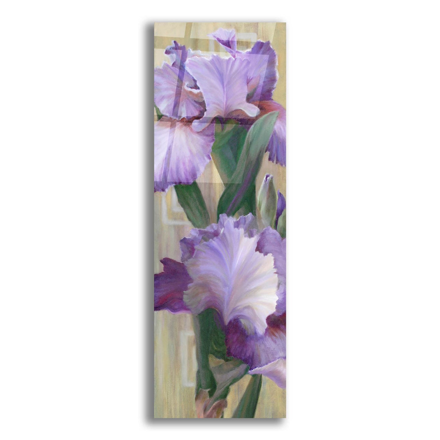 Epic Art 'Iris Ii' by Jan Mclaughlin, Acrylic Glass Wall Art