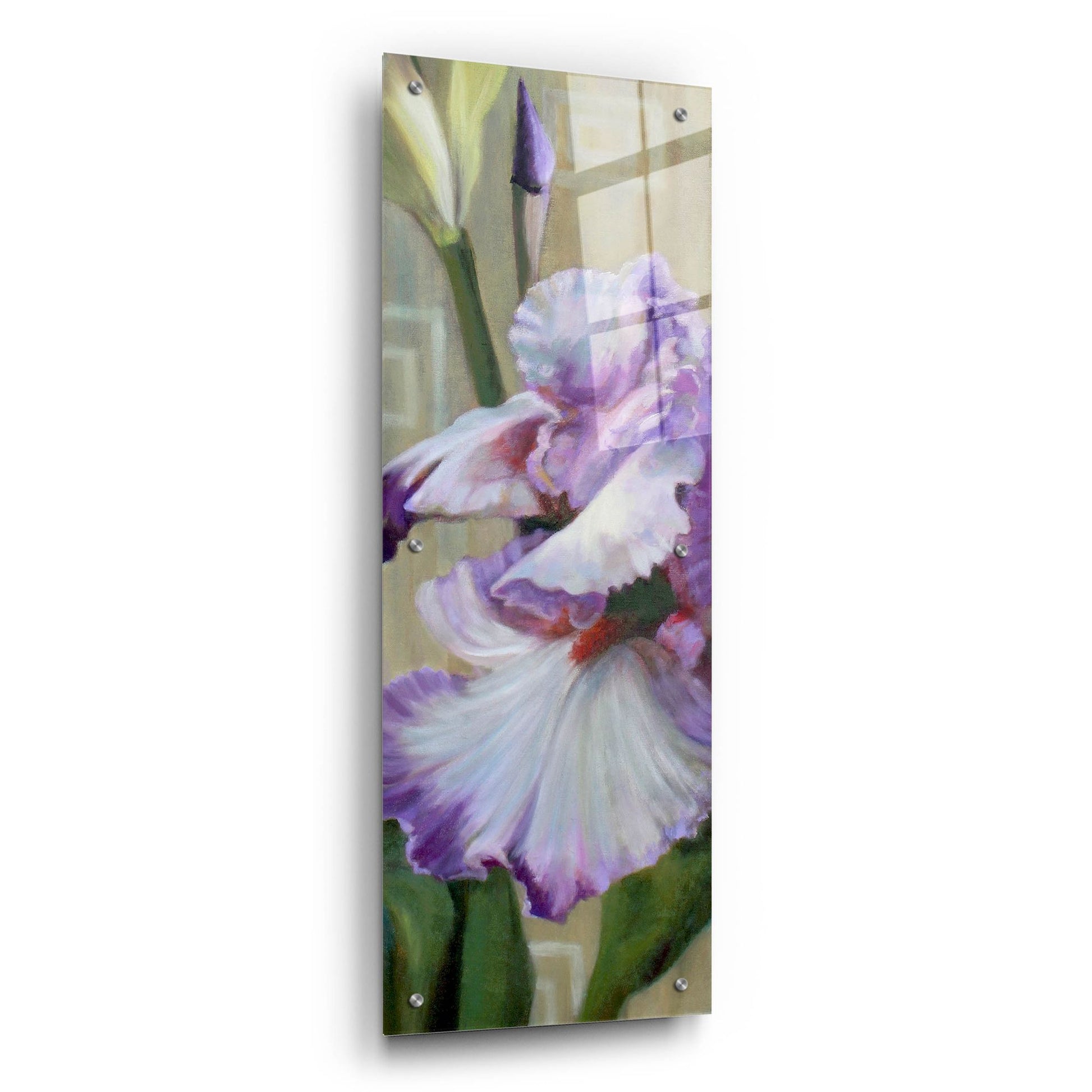 Epic Art 'Iris Iii' by Jan Mclaughlin, Acrylic Glass Wall Art,12x36