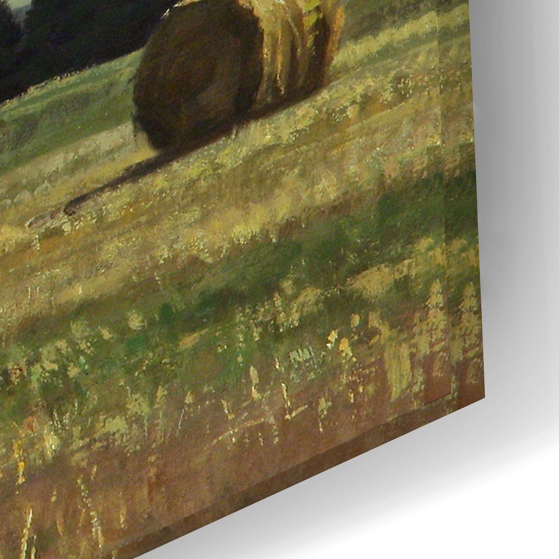 Epic Art 'Fresh Cut Hay' by Jay Moore, Acrylic Glass Wall Art,24x16