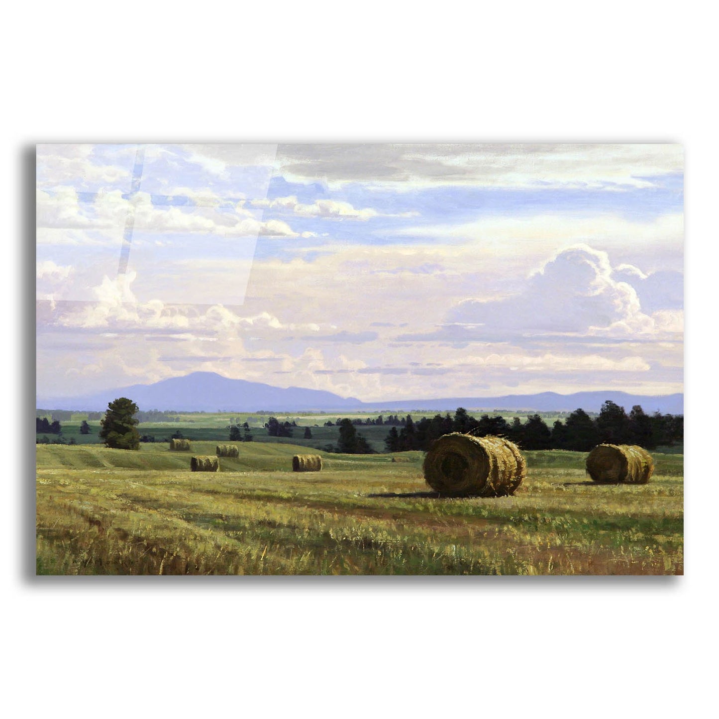 Epic Art 'Fresh Cut Hay' by Jay Moore, Acrylic Glass Wall Art,24x16