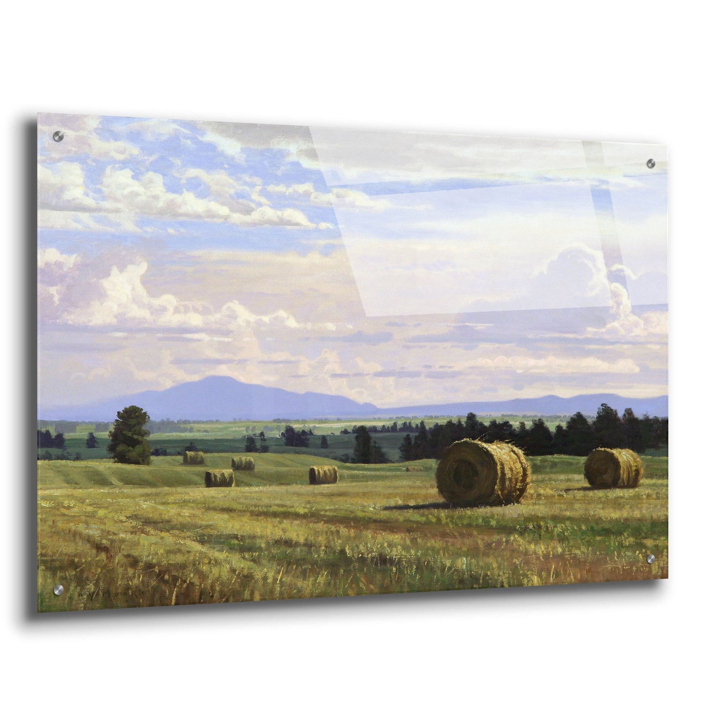 Epic Art 'Fresh Cut Hay' by Jay Moore, Acrylic Glass Wall Art,36x24