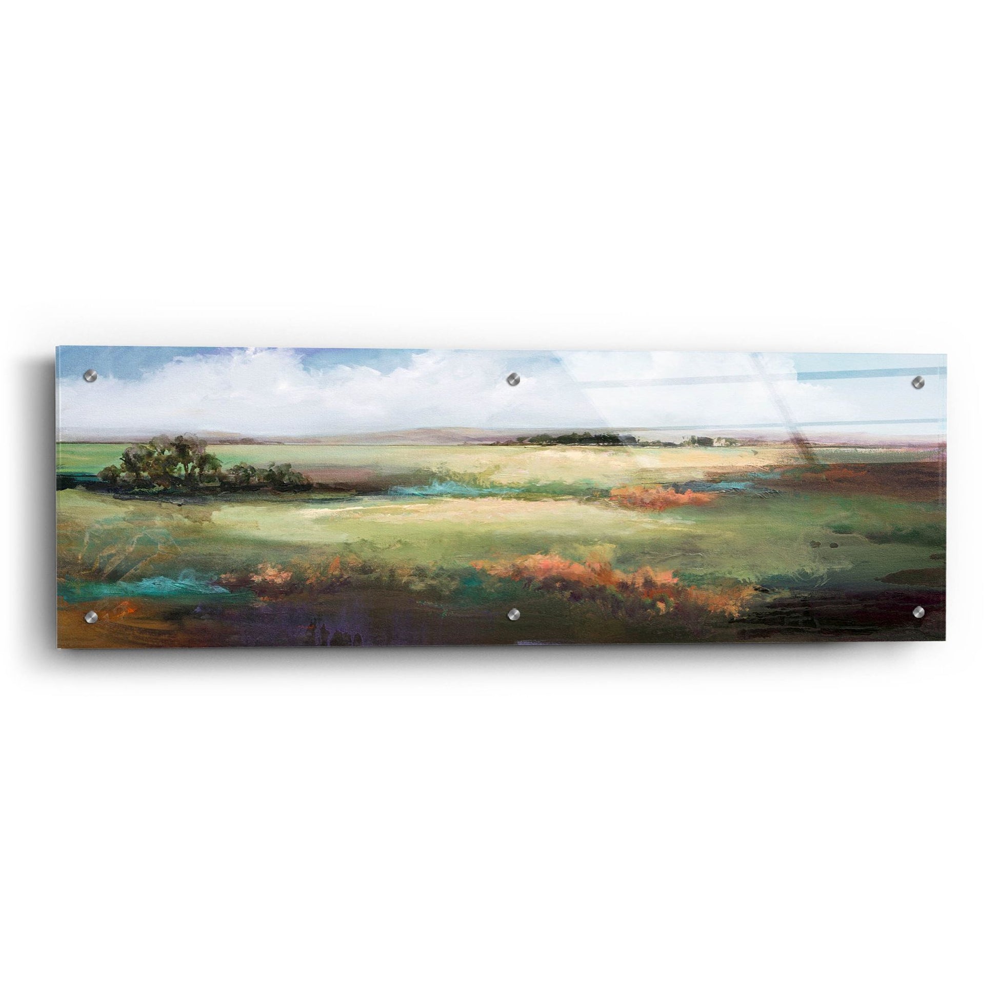 Epic Art 'A Day To Be Lazy' by Karen Hale, Acrylic Glass Wall Art,36x12