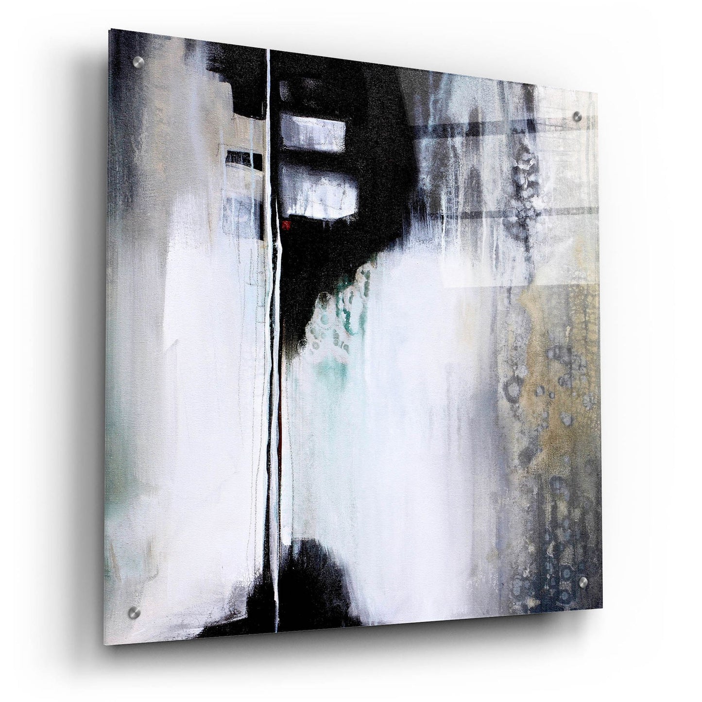 Epic Art 'Black And White Drama' by Karen Hale, Acrylic Glass Wall Art,24x24