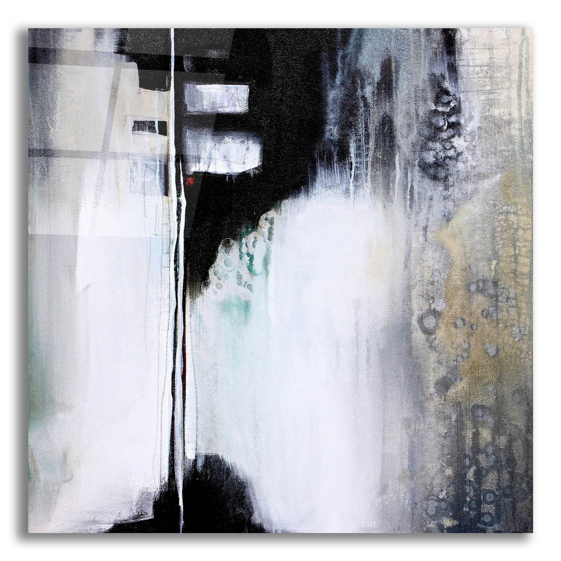 Epic Art 'Black And White Drama' by Karen Hale, Acrylic Glass Wall Art