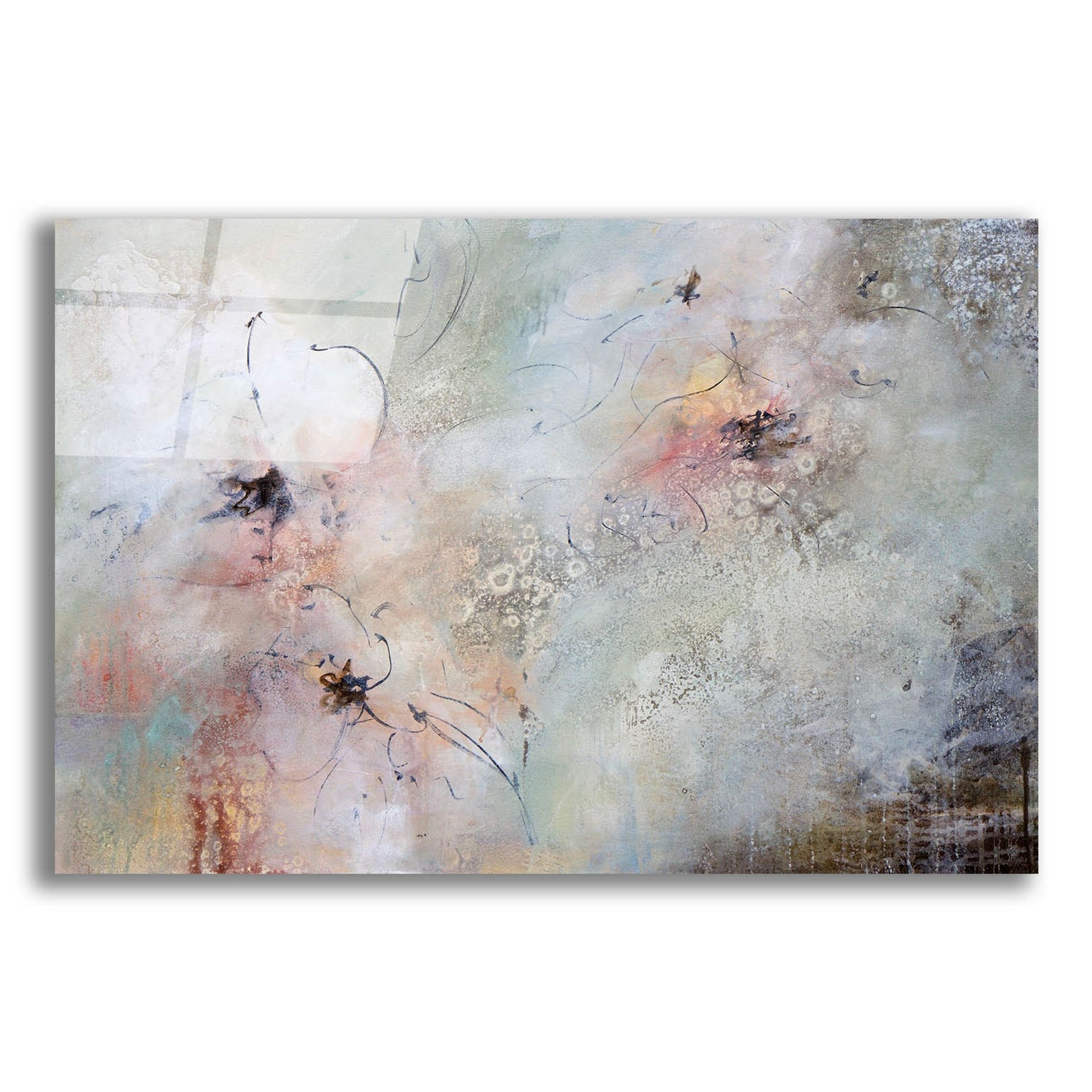 Epic Art 'Through The Haze' by Karen Hale, Acrylic Glass Wall Art,24x16