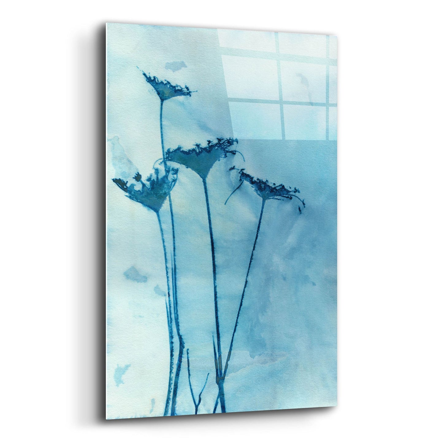 Epic Art 'Blue Anne' by Krista Mccurdy, Acrylic Glass Wall Art,12x16