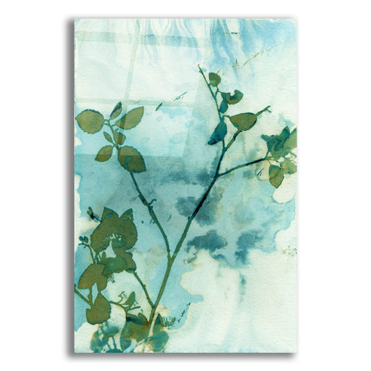 Epic Art 'Leaves And Sky' by Krista Mccurdy, Acrylic Glass Wall Art