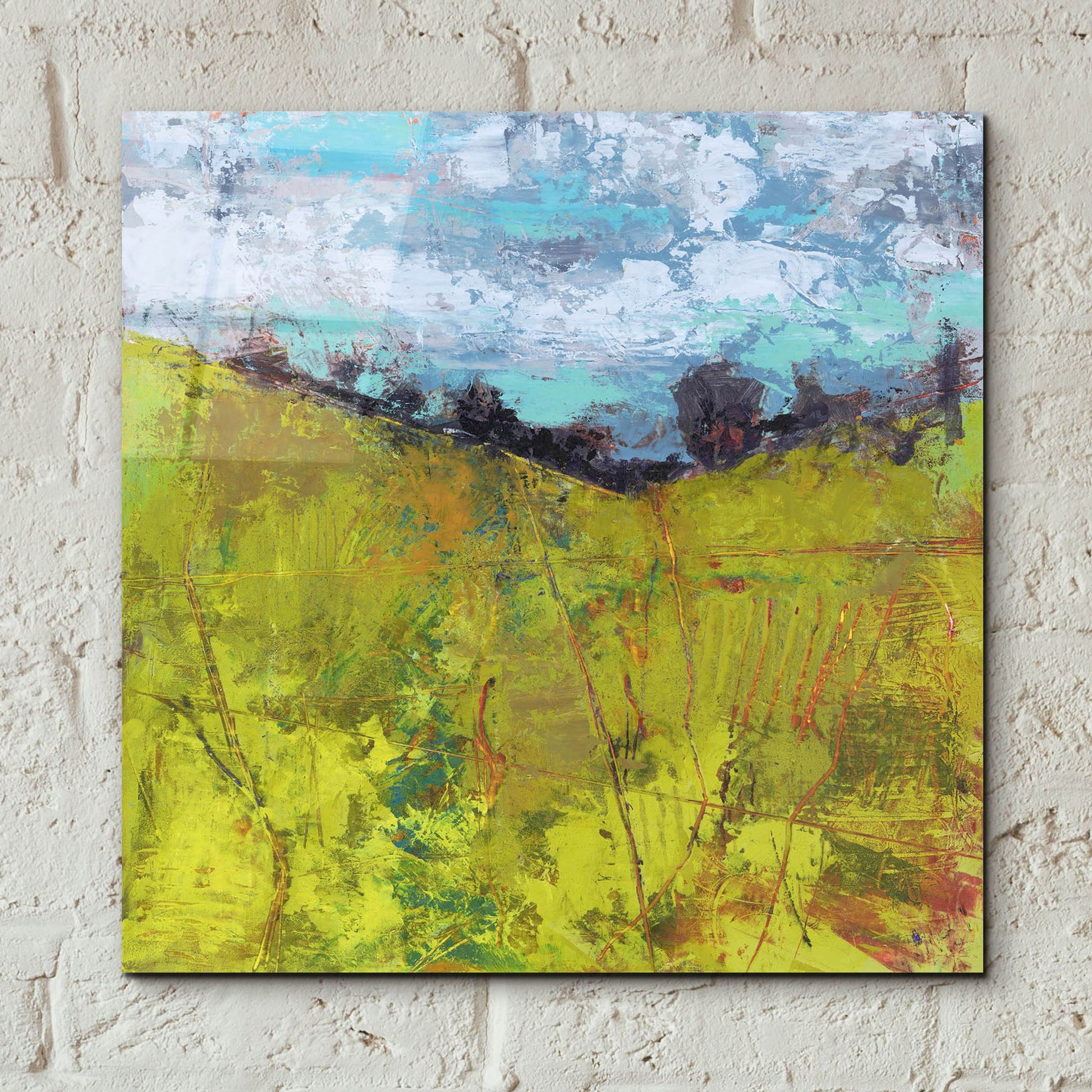 Epic Art 'Summer Sky' by Linda Nickell, Acrylic Glass Wall Art,12x12