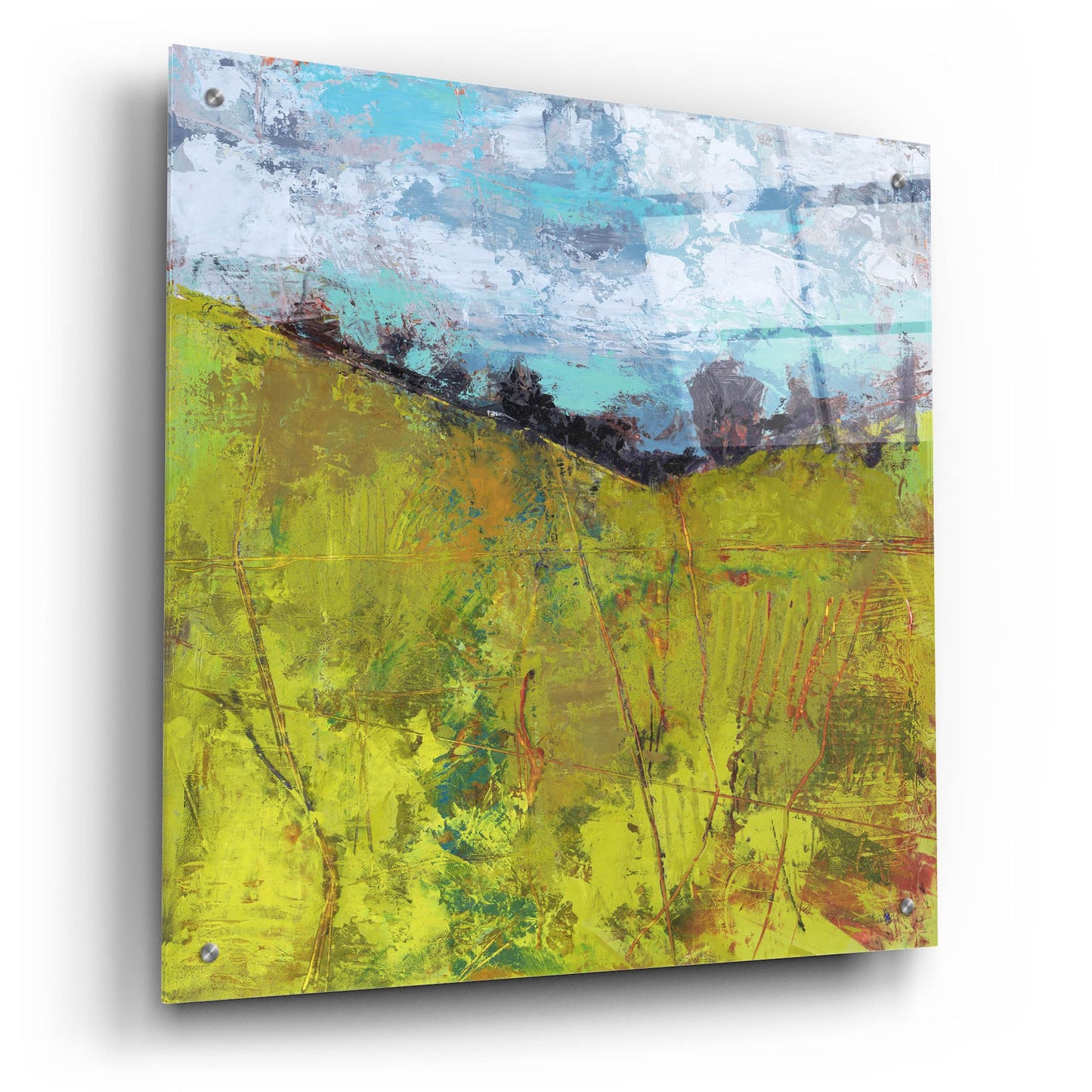 Epic Art 'Summer Sky' by Linda Nickell, Acrylic Glass Wall Art,24x24